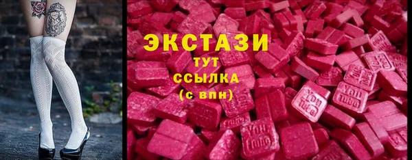 амф Тайга