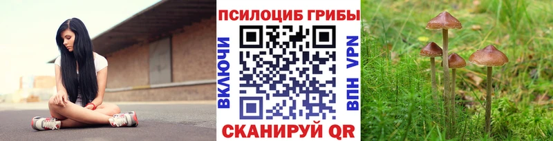 Галлюциногенные грибы MAGIC MUSHROOMS Зея