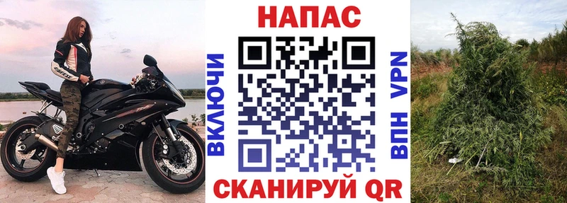 МАРИХУАНА Ganja  что такое   OMG   Зея 